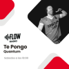 Te Pongo